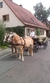 Juli &#039;14 Mit der Hochzeitskutsche in Wendelstein
